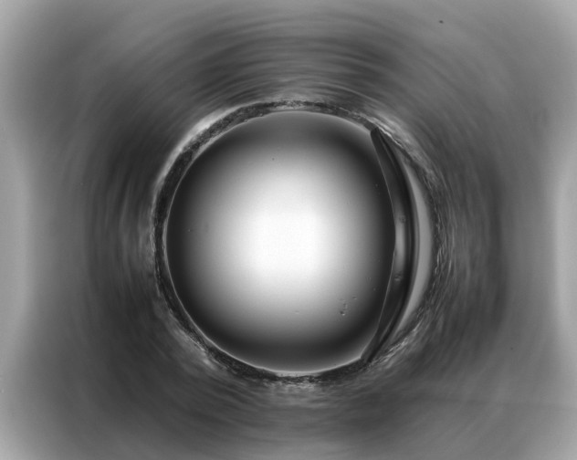 X0000087370784200704271454
