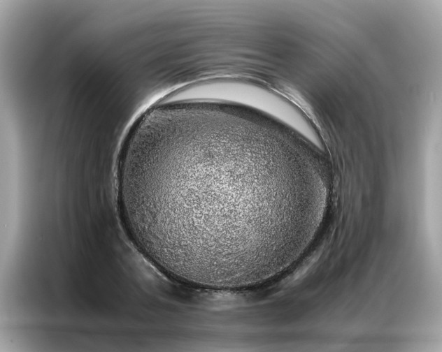 X0000087370787200704271454