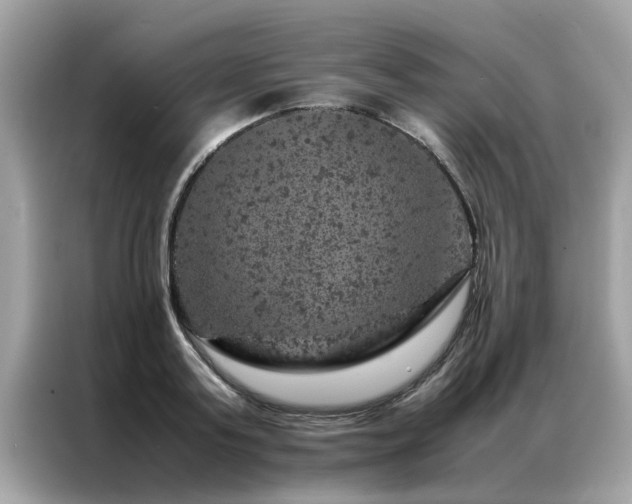 X0000087370795200704271454