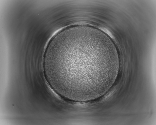 X0000087370799200704271454