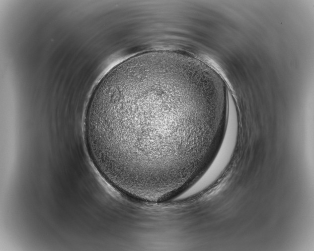 X0000087370803200704271454