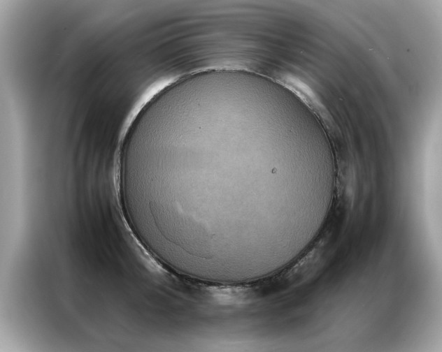 X0000087370804200704271454