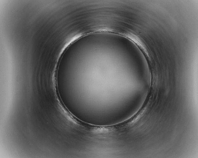 X0000087370806200704271454