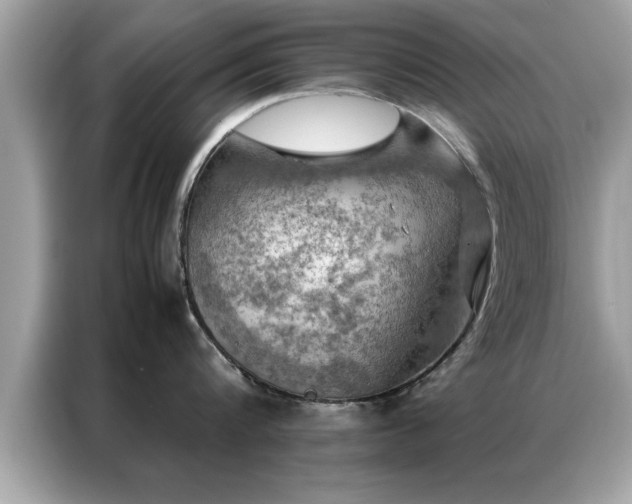 X0000087370816200704271454