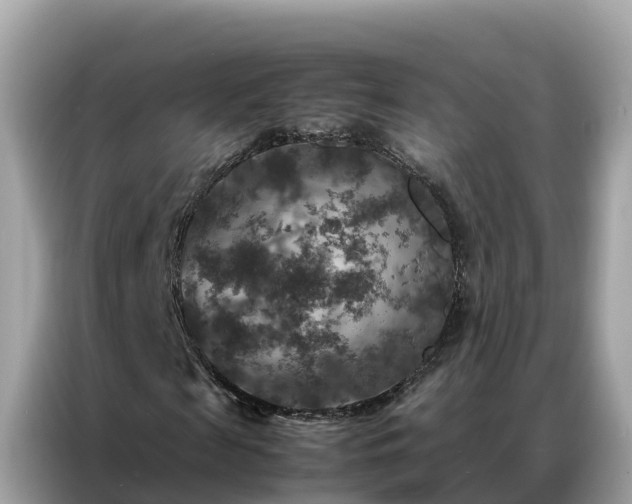 X0000087370817200704271453