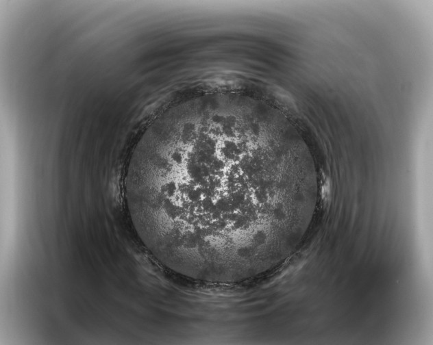 X0000087370819200704271453