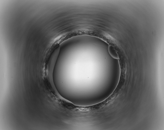 X0000087370822200704271453