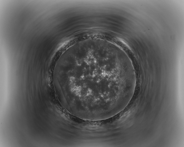 X0000087370823200704271453