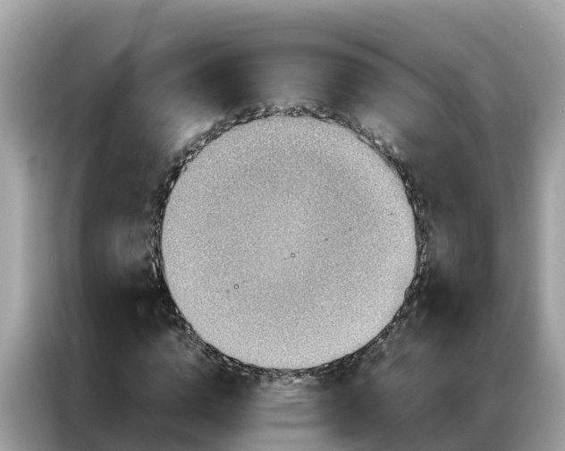 X0000087370824200704271453