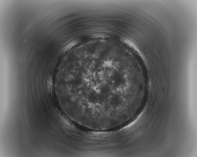 X0000087370825200704271453