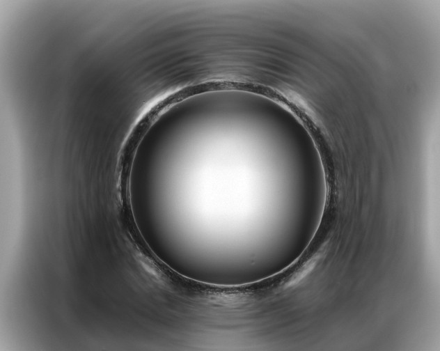 X0000087370830200704271453