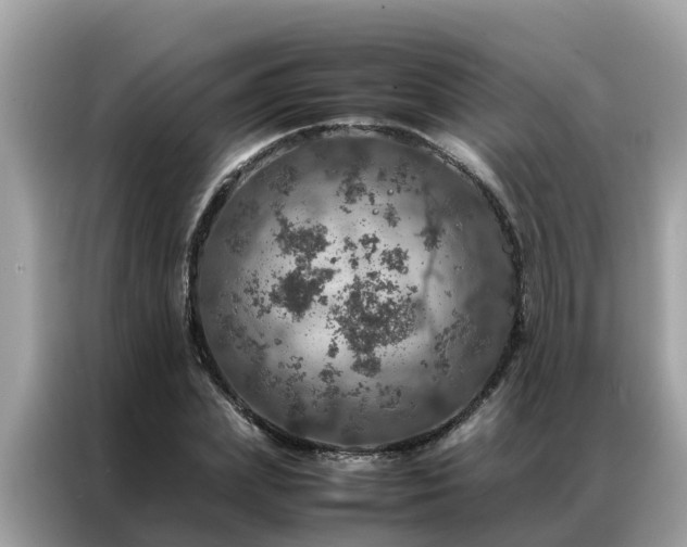 X0000087370831200704271453