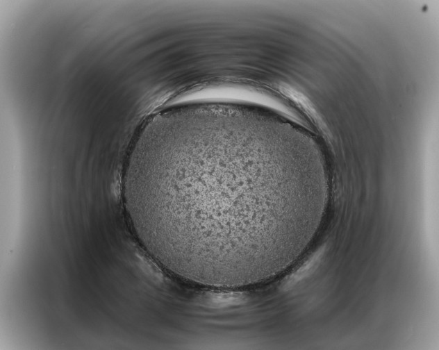 X0000087370833200704271453