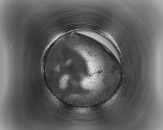 X0000087370835200704271453