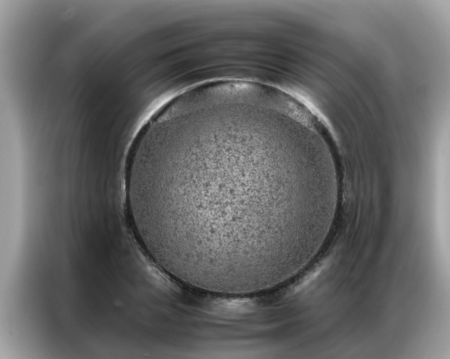 X0000087370837200704271453
