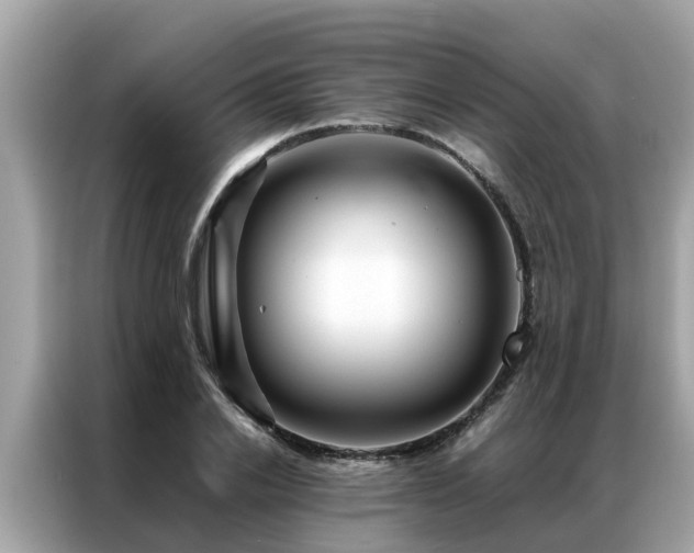 X0000087370838200704271453