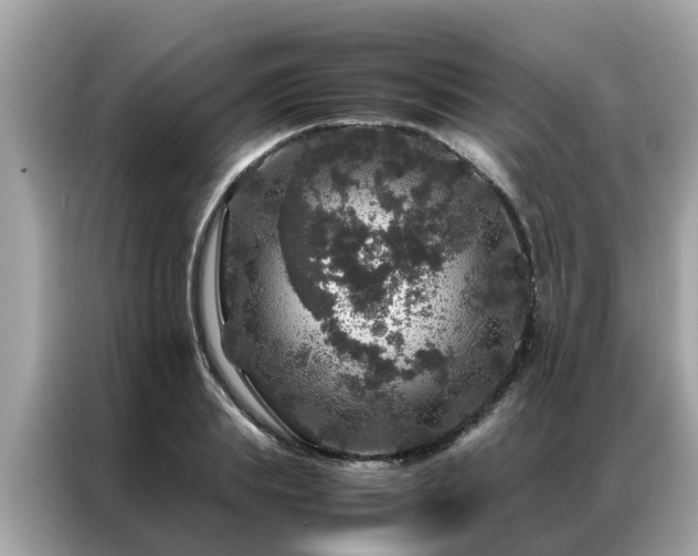 X0000087370839200704271453