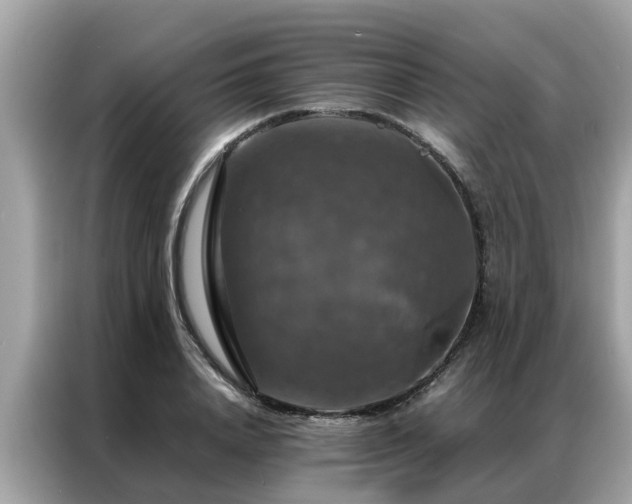 X0000087370840200704271453