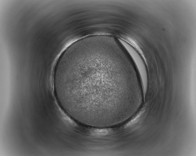 X0000087370843200704271453