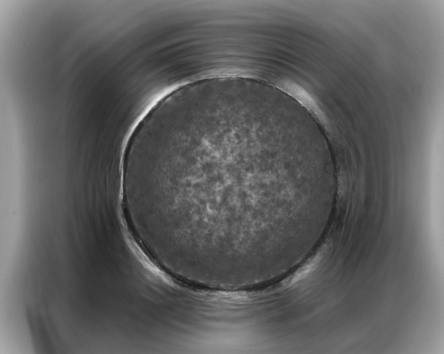 X0000087370844200704271453