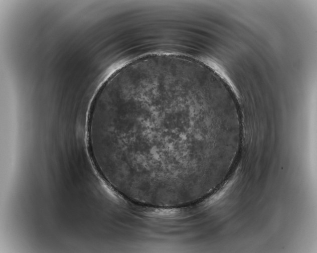 X0000087370845200704271453