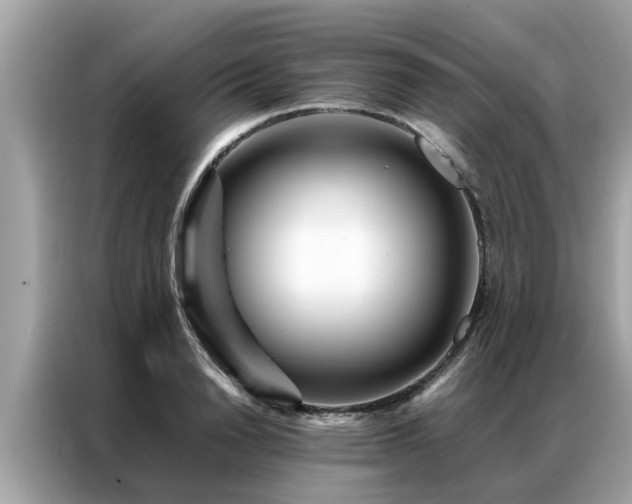 X0000087370846200704271453