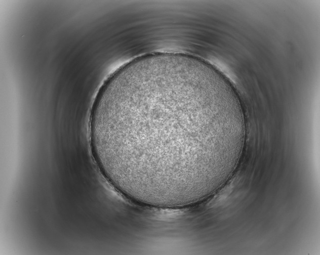 X0000087370848200704271453