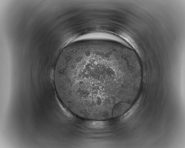X0000087370849200704271453