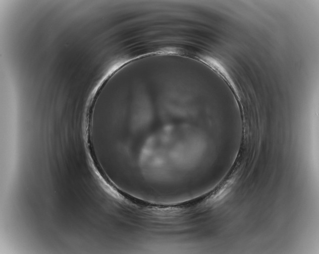 X0000087370851200704271453