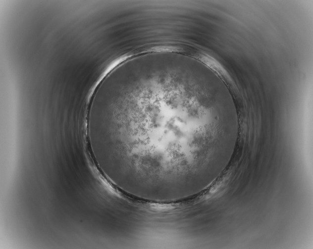 X0000087370852200704271453