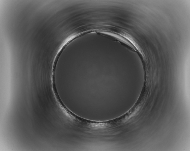 X0000087370853200704271453