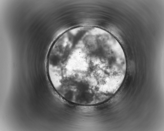 X0000087370856200704271454