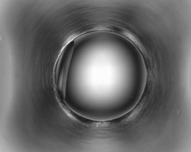 X0000087370858200704271454