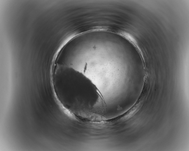 X0000087370859200704271454