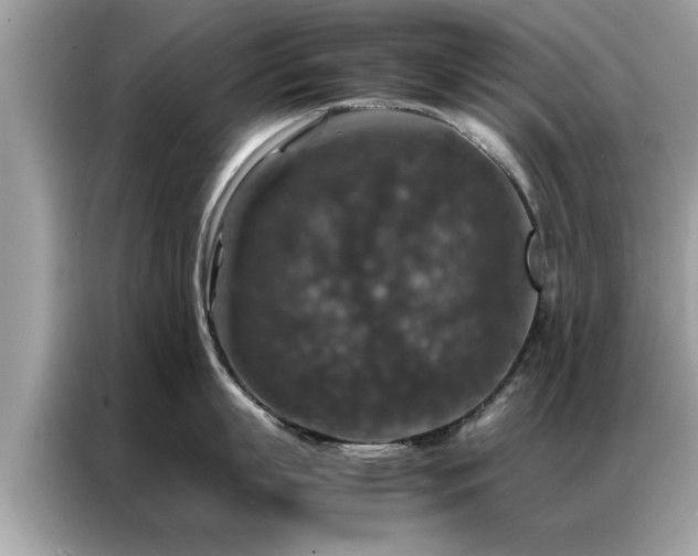 X0000087370863200704271454