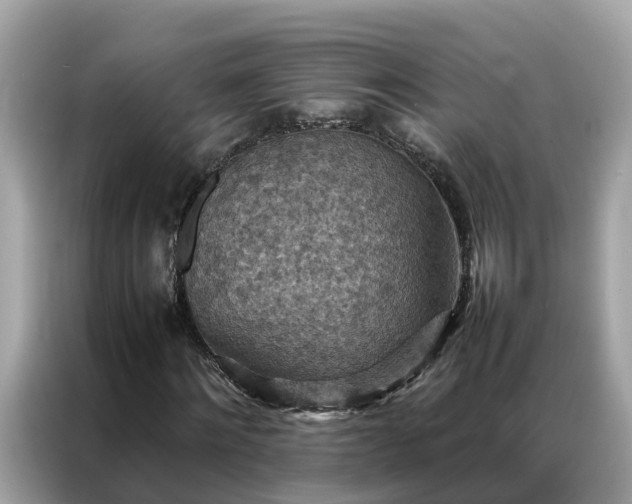 X0000087370868200704271453