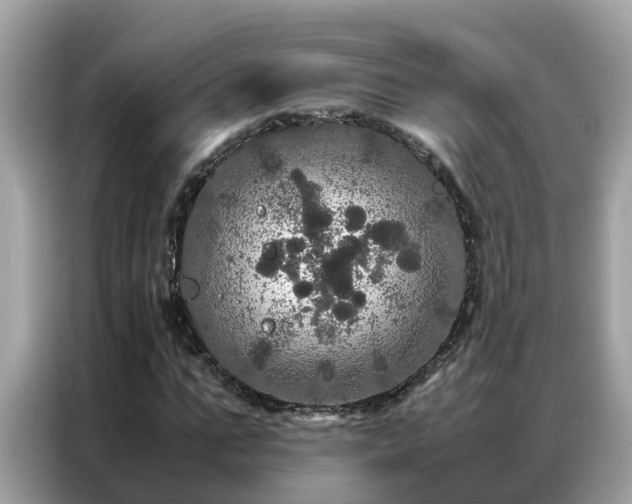 X0000087370871200704271453