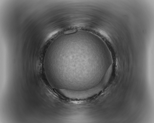 X0000087370872200704271453