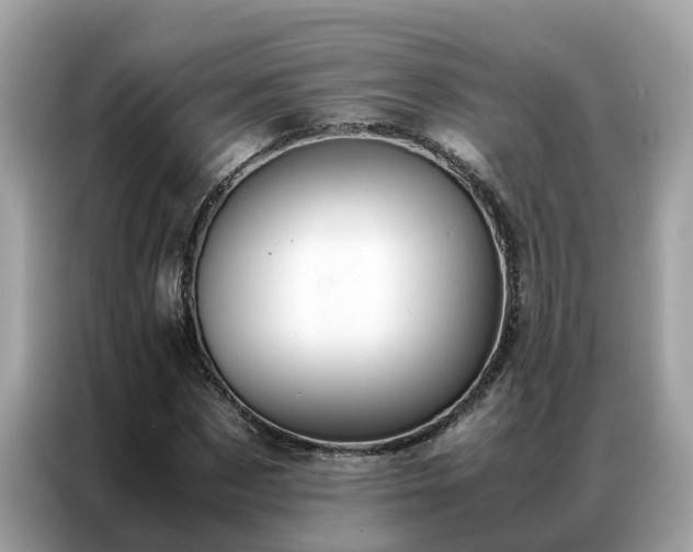 X0000087370873200704271453