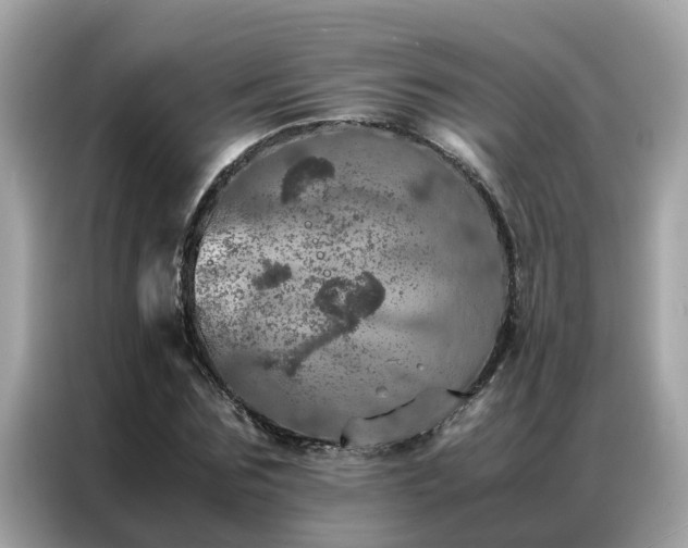 X0000087370875200704271453