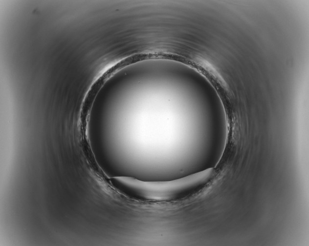 X0000087370876200704271453