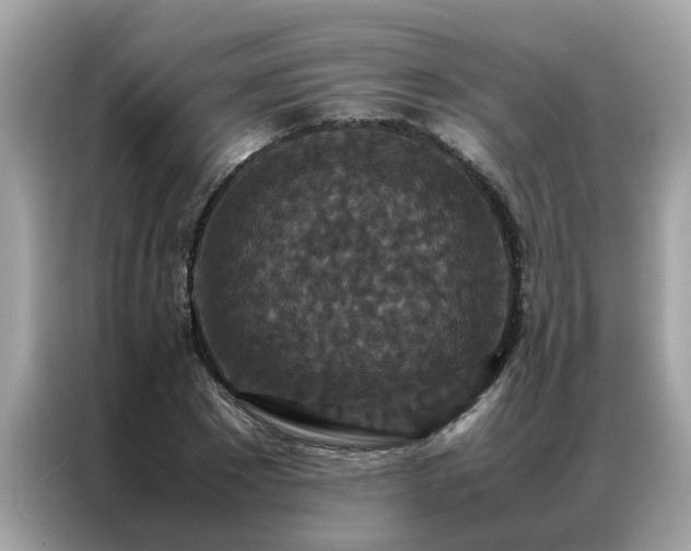 X0000087370881200704271453