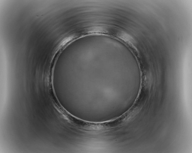 X0000087370882200704271453