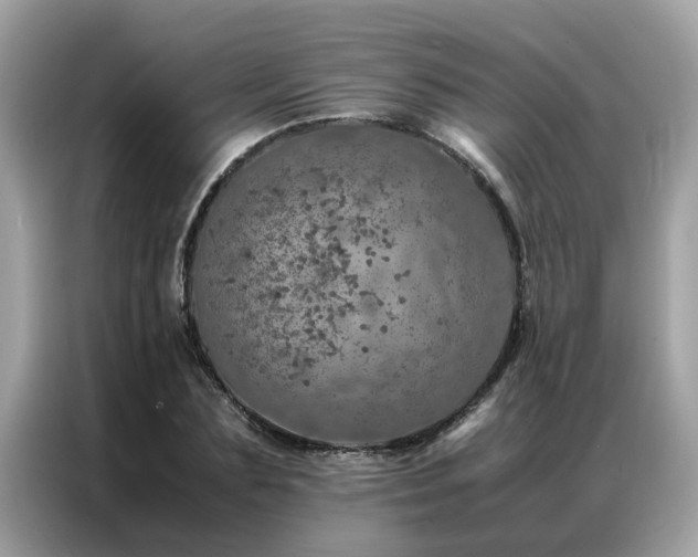X0000087370883200704271453
