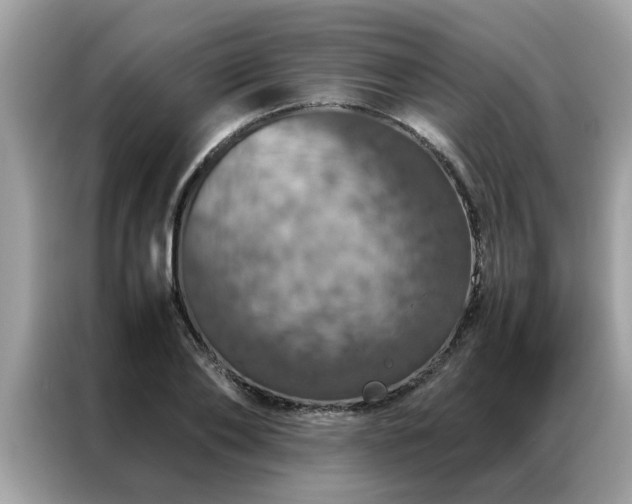 X0000087370886200704271453