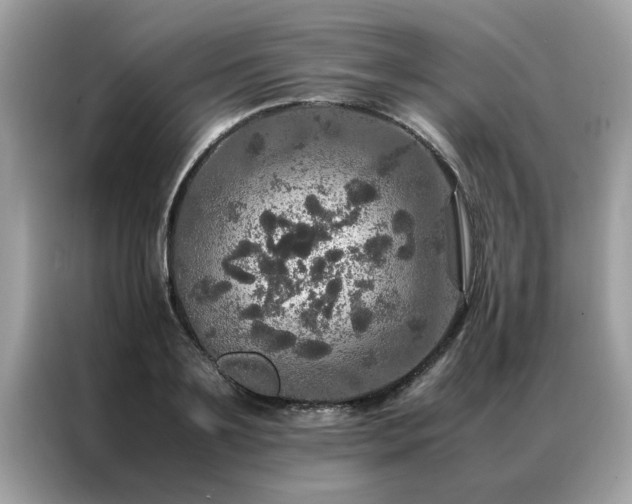 X0000087370891200704271453