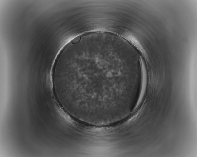 X0000087370892200704271453