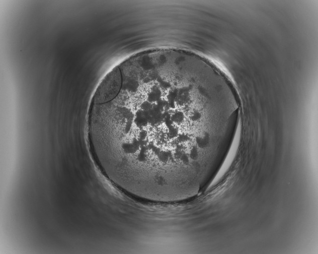 X0000087370895200704271453