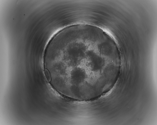 X0000087370896200704271453