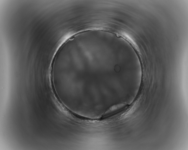 X0000087370899200704271453